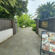 タケル クインディチ(LOQUAT) 西伊豆