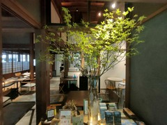 タケル クインディチ(LOQUAT) 西伊豆