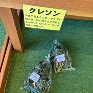 森のカフェ