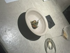 Simples | シンプルズ