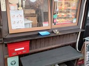 ことりふらっと
