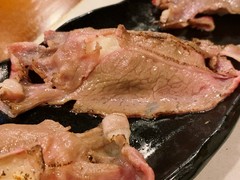 小仔羊