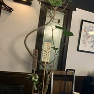 和牛専門店ぐるり 淡路町店