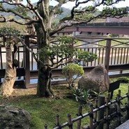赤福 本店 （あかふく）