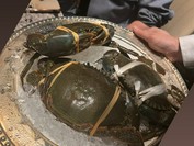 中国料理 眺遊楼(横浜ベイコート倶楽部 ホテル＆スパリゾート)