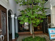 ギャルリ・シュシュ・アー