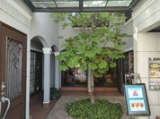 ギャルリ・シュシュ・アー