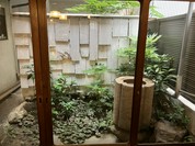 そば切り文目堂
