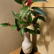 料理屋まえかわ