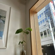 The Coffee Market Lab
