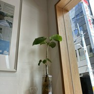 The Coffee Market Lab