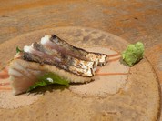 ろばた日和 酒囲屋本店