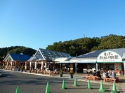 桔梗 道の駅もてぎ