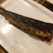 炙り明太いわし