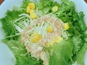 カレーハウスCoCo壱番屋 福山駅店