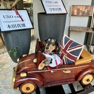 UNO cafe
