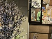 鶏ポタラーメン THANK  鎌倉小町