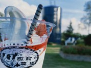 町村農場 ミルクガーデン （Milk Garden）