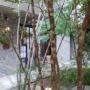 RESTAURANT & BAR Enza