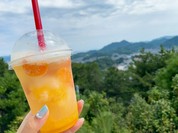 千光寺公園頂上売店