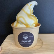AMISAGAN