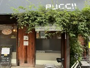 プッチー（ｐｕｃｃｉｉ）