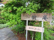 樹庵