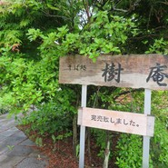 樹庵