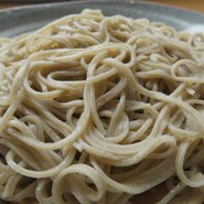 樹庵