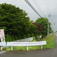 樹庵