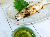 ギャラリーとお料理とお酒 はくせん