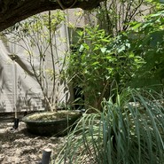 熱香森 -LA SHANG SEN- 