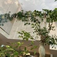 熱香森 -LA SHANG SEN- 