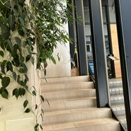 熱香森 -LA SHANG SEN- 