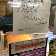 近江町コロッケ