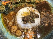 BOTANI：CURRY 梅田店