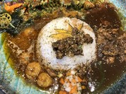 BOTANI：CURRY 梅田店