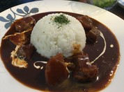 ビーフシチュー