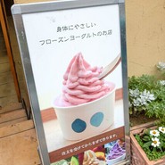 ウッドベリーズ 本店 （woodberry's）