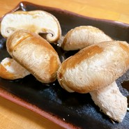 とよ松