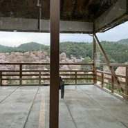 葛の元祖 八十吉 花山店