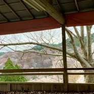 葛の元祖 八十吉 花山店