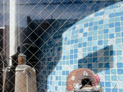 ピッツェリア ナプル