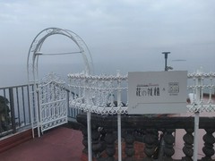 花の妖精