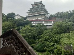 花の妖精