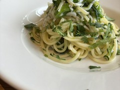 tomarico