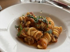 tomarico