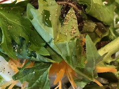 自家製ピッツァ＆ステーキ 肉バル ビステッカ 垂水店