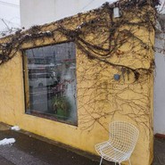 カンテ・マンフィーラ