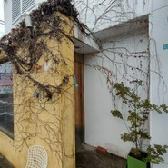 カンテ・マンフィーラ